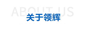 關于(yu)領輝(hui)